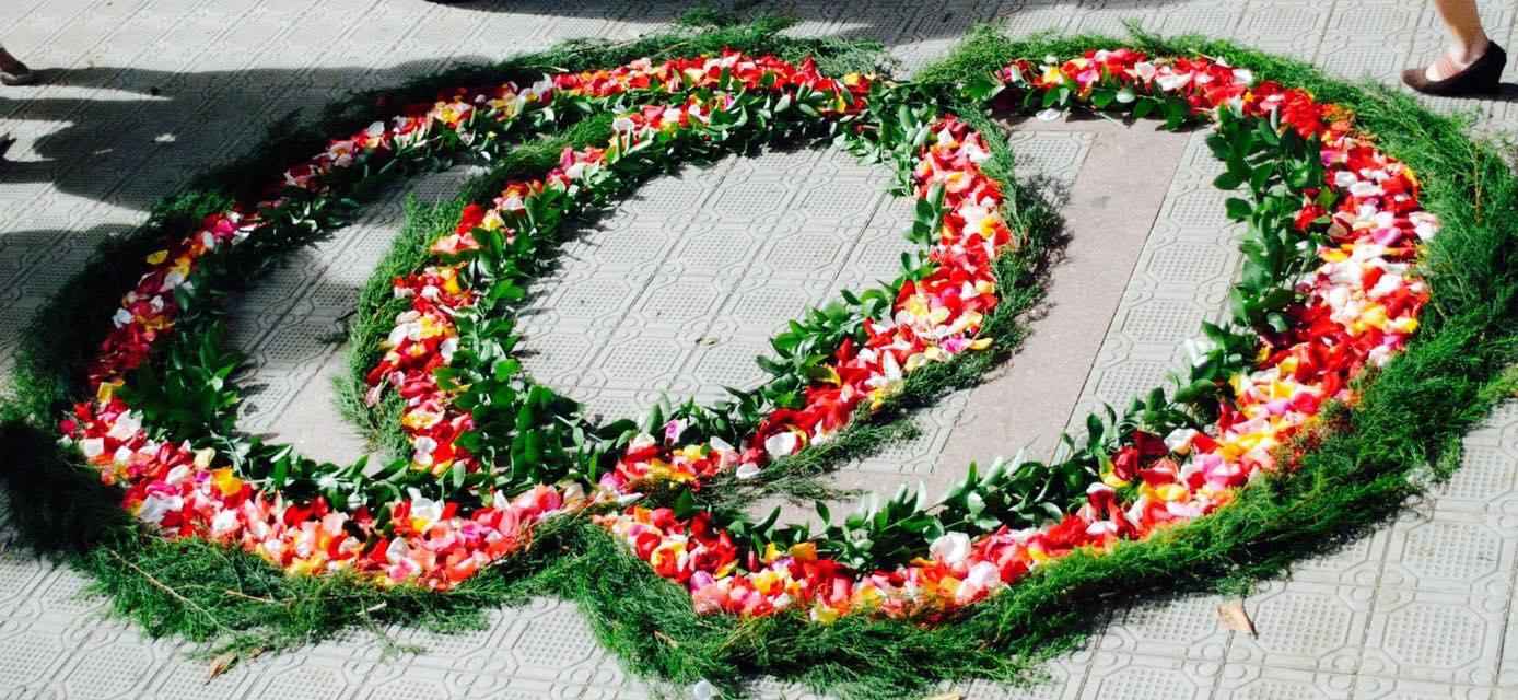 b6a52fe3-7bbb-43e7-818d-d61ed2307cc3