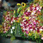 047c0b67-9f3b-4132-96e3-152de3b87fcb